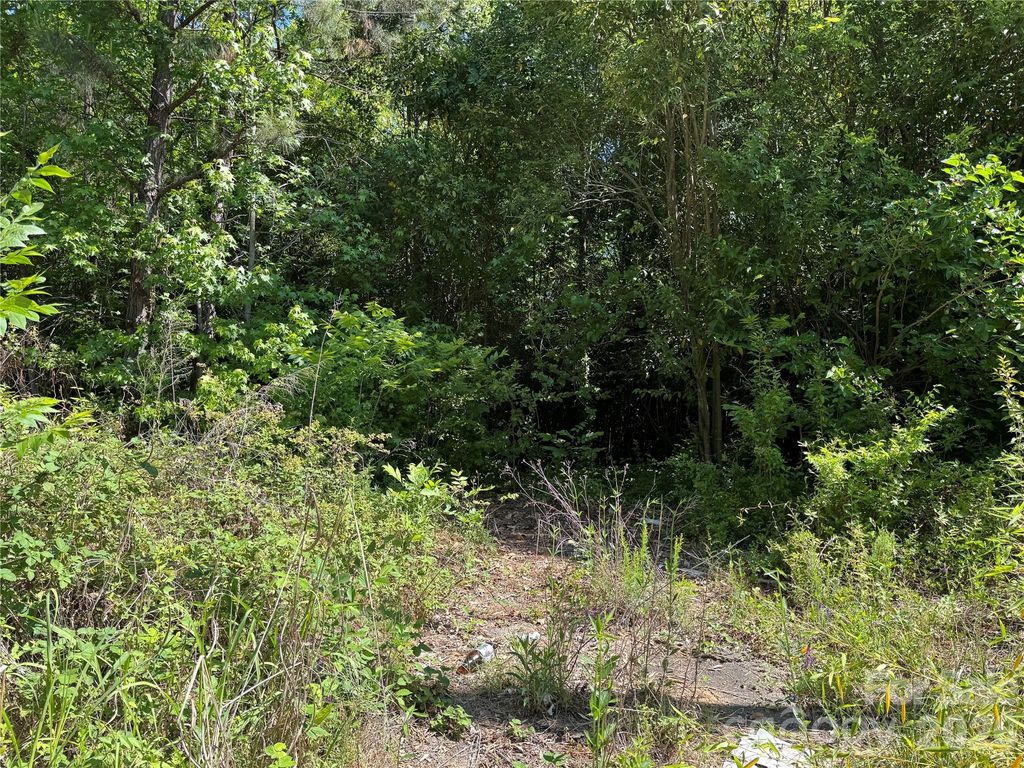 1129 Flint Street Extension, Rock Hill, SC 29730