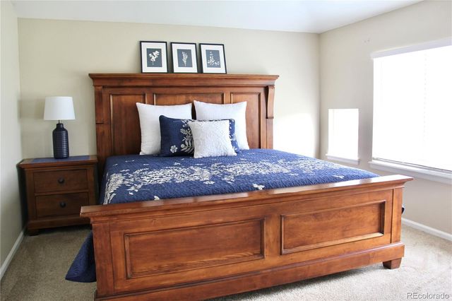 10755 Willow Reed Court, Parker, CO 80134