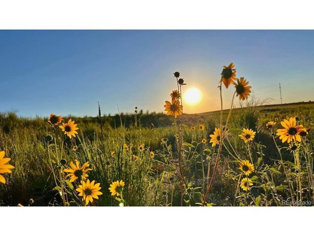 1231 E Hopkins Dr, Elizabeth, CO 80107