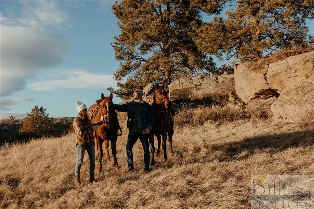Lot 1 Block 2 W Montrose ROAD, Billings, MT 59106 photo 27