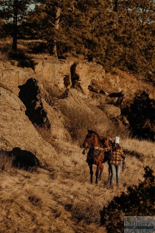 Lot 1 Block 2 W Montrose ROAD, Billings, MT 59106 photo 31