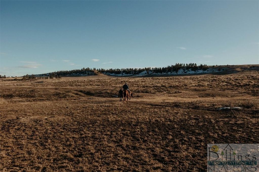 Lot 1 Block 2 W Montrose ROAD, Billings, MT 59106 photo 33
