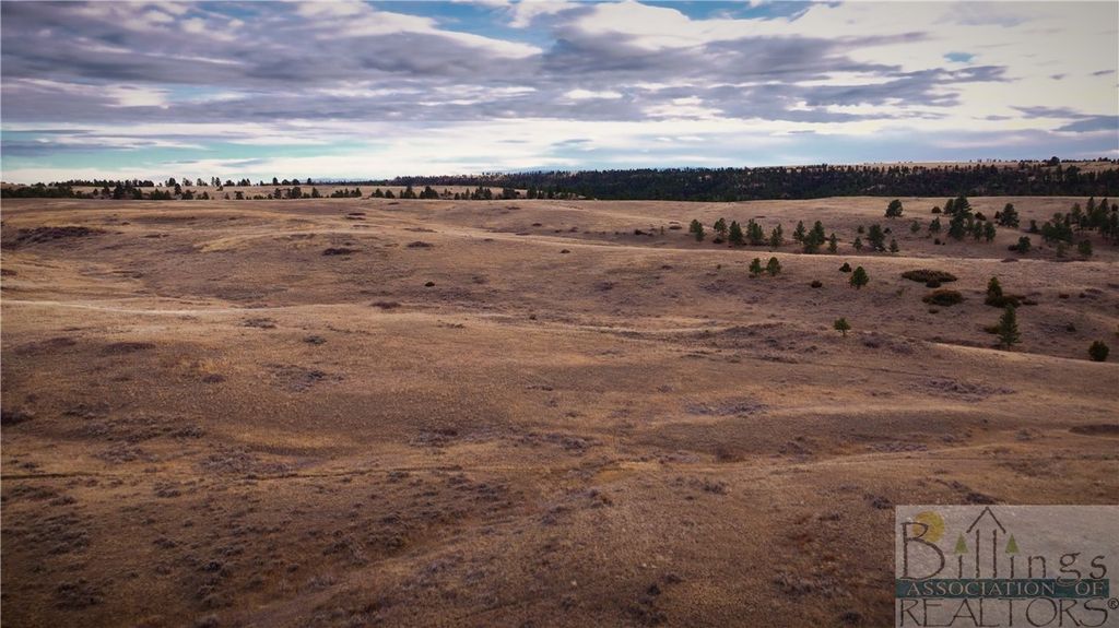 Lot 1 Block 2 W Montrose ROAD, Billings, MT 59106 photo 9