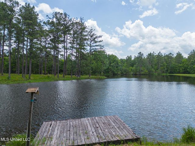 146 Maple Drive, Perkinston, MS 39573