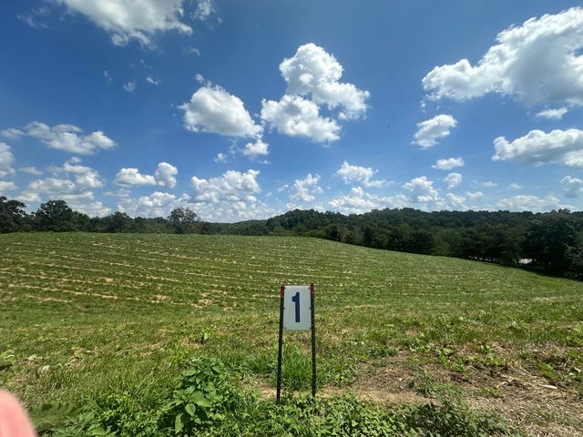 Tract 1 Pittsburg Landing Road, London, KY 40741