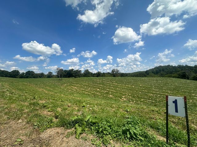 Tract 1 Pittsburg Landing Road, London, KY 40741