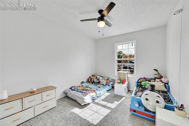 6770 Dublin Terrace, Colorado Springs, CO 80918