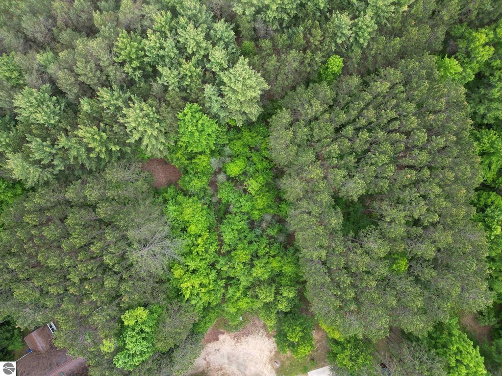 Image 3 of property listing at TBD Primrose Lane, Farwell, MI 48622