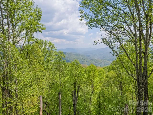 2863 Heath Peak Road, Waynesville, NC 28785