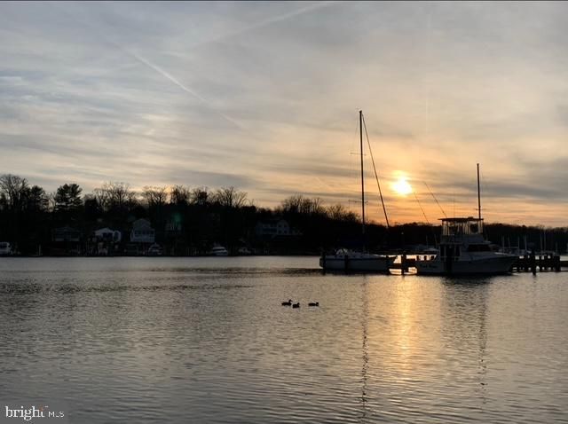 1161 DOUBLE CHESTNUT CT, Curtis Bay, MD 21226