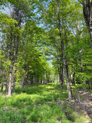 62 Cobb Hill Road, Alstead, NH 03602