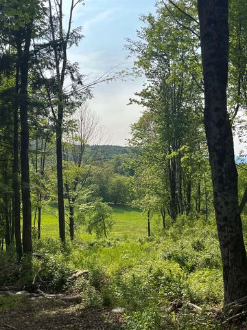 62 Cobb Hill Road, Alstead, NH 03602
