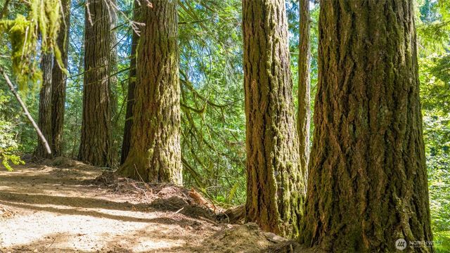 0 N Robinson Road, Lilliwaup, WA 98555