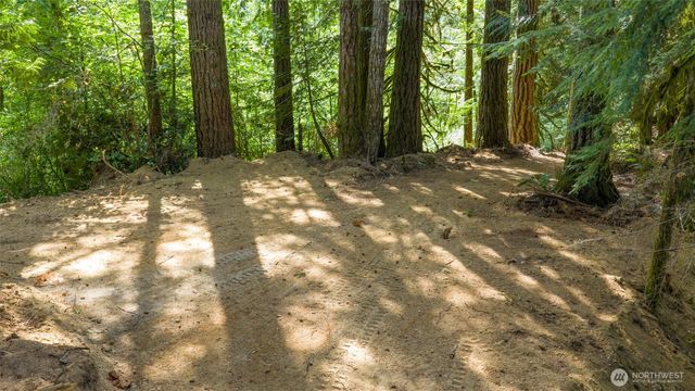 0 N Robinson Road, Lilliwaup, WA 98555
