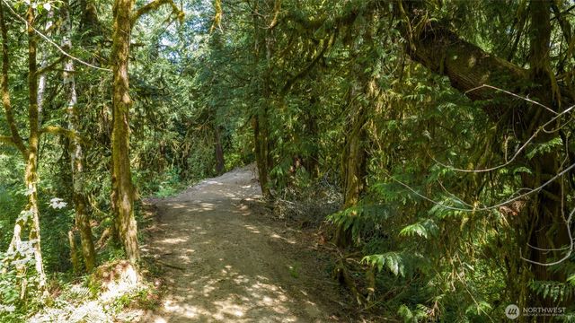 0 N Robinson Road, Lilliwaup, WA 98555