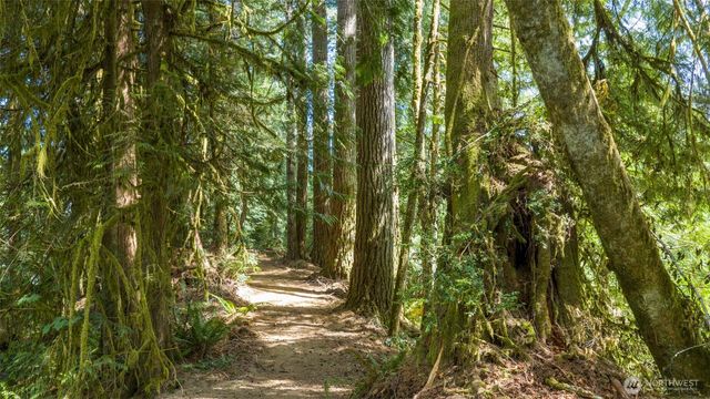 0 N Robinson Road, Lilliwaup, WA 98555