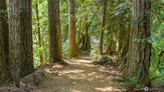 0 N Robinson Road, Lilliwaup, WA 98555