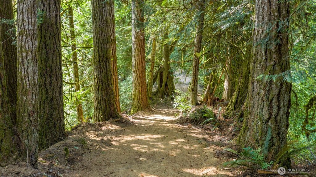 0 N Robinson Road, Lilliwaup, WA 98555