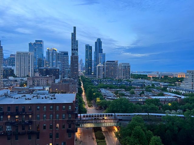 1600 S Indiana Avenue 1308, Chicago, IL 60616