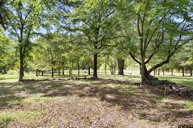 321 VZ County Road 2602, Wills Point, TX 75169