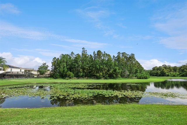 10227 SANDY MARSH LANE, Orlando, FL 32832