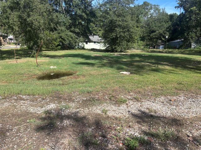 404 E Abbey Street, Livingston, TX 77351