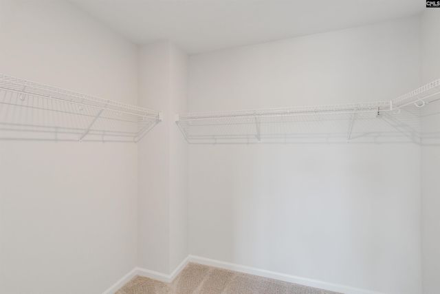 281 Brando Way, Columbia, SC 29223