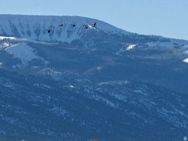 19600 N 8250 E, Mt Pleasant, UT 84647