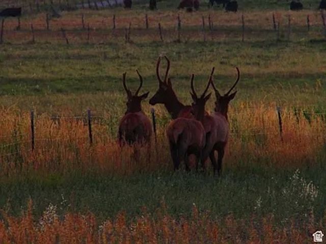 19600 N 8250 E, Mt Pleasant, UT 84647