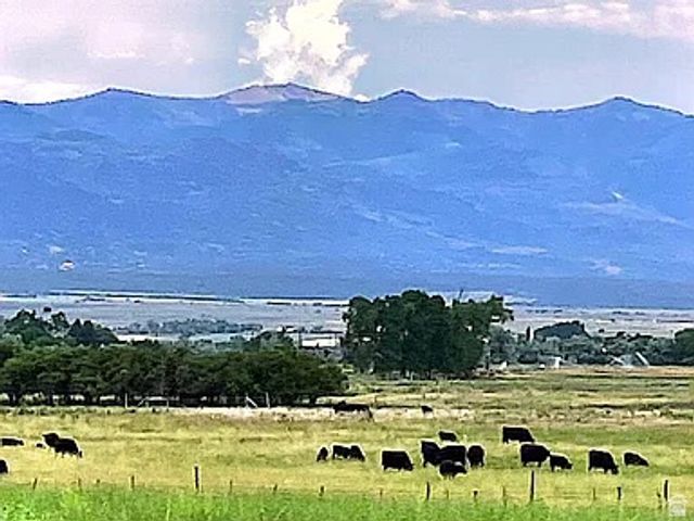 19600 N 8250 E, Mt Pleasant, UT 84647