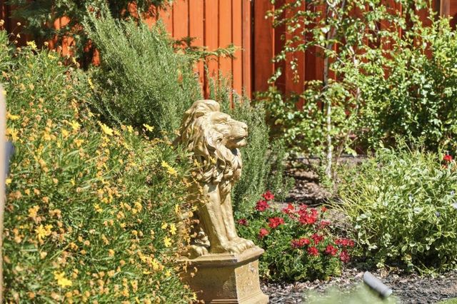 533 Tigerwood Way, San Jose, CA 95111