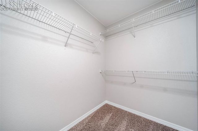 9574 Desert Lily Circle, Colorado Springs, CO 80925