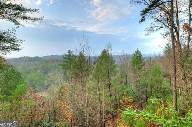 89 N Whitepath Circle, Ellijay, GA 30540