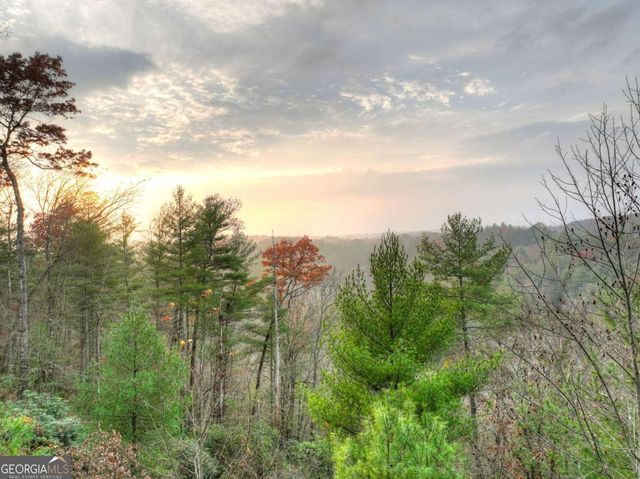 89 N Whitepath Circle, Ellijay, GA 30540