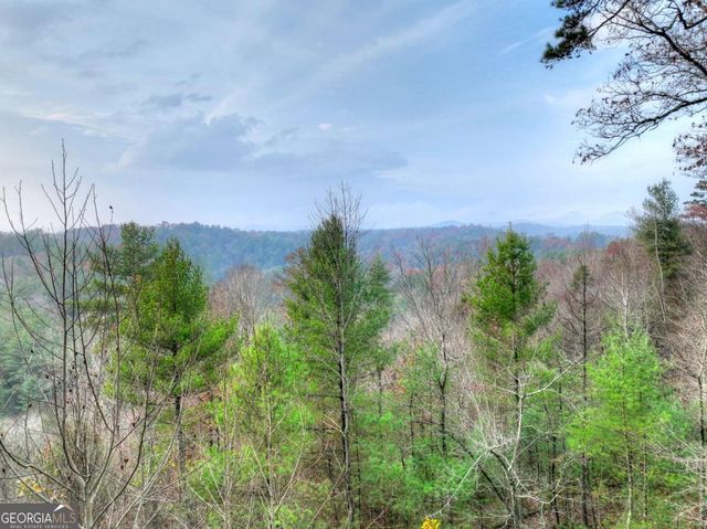 89 N Whitepath Circle, Ellijay, GA 30540