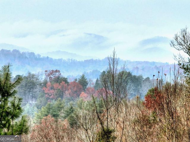 89 N Whitepath Circle, Ellijay, GA 30540