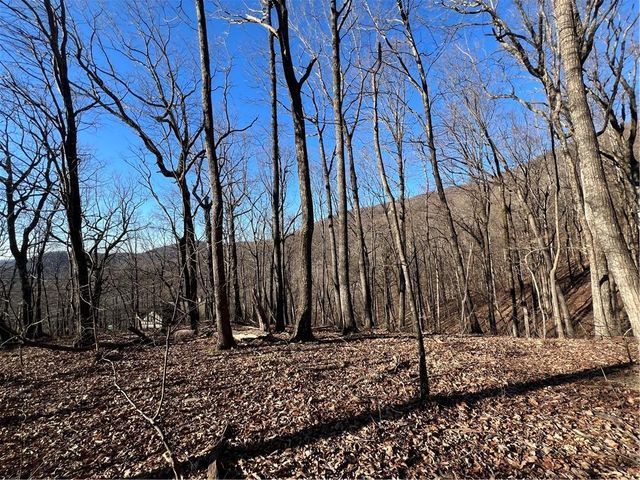 4548 Sassafras Mountain Trail, Jasper, GA 30143