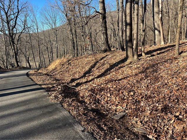 4548 Sassafras Mountain Trail, Jasper, GA 30143