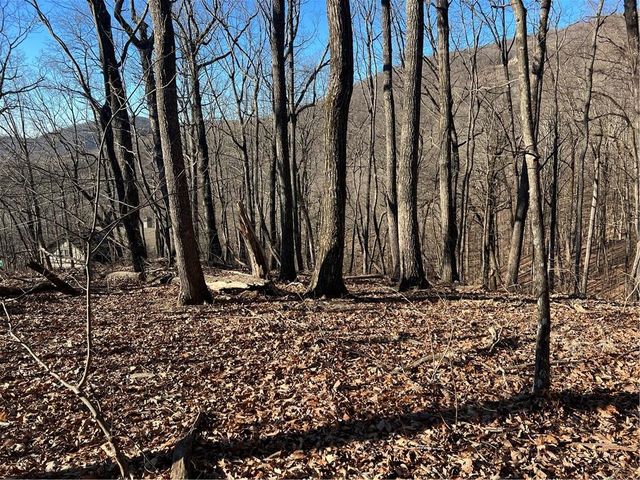 4548 Sassafras Mountain Trail, Jasper, GA 30143