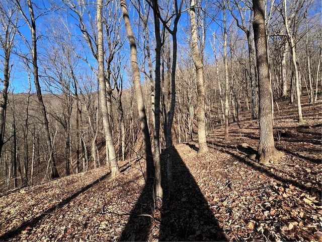 4548 Sassafras Mountain Trail, Jasper, GA 30143