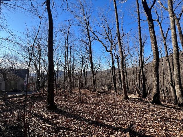 4548 Sassafras Mountain Trail, Jasper, GA 30143