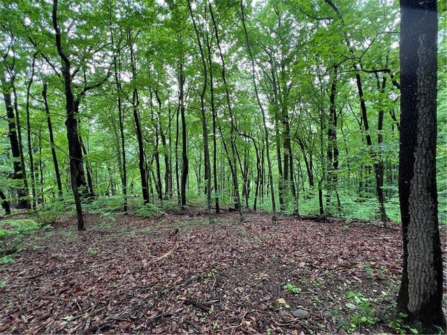 4548 Sassafras Mountain Trail, Jasper, GA 30143