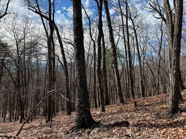 4548 Sassafras Mountain Trail, Jasper, GA 30143