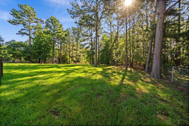 17153 C R 1108, Flint, TX 75762