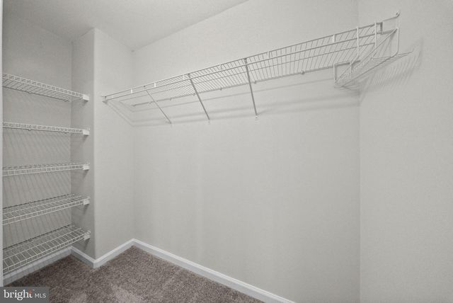 3212 TERRA SPRINGS DR, Fredericksburg, VA 22408
