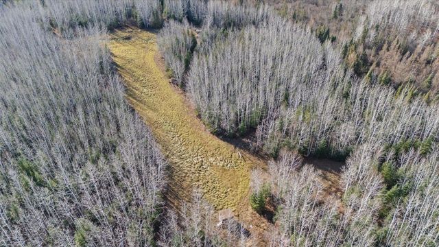 4017 Hwy 25, Iron, MN 55751