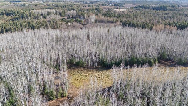 4017 Hwy 25, Iron, MN 55751