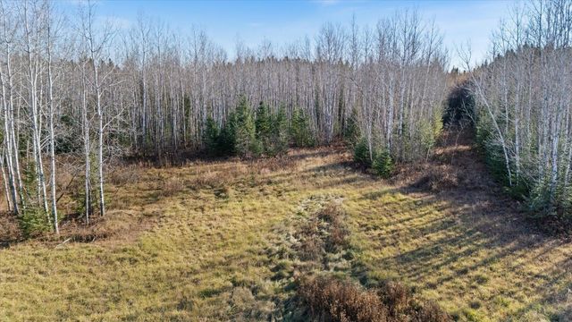 4017 Hwy 25, Iron, MN 55751