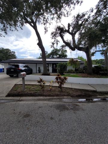 8320 WOODLAKE PLACE, Tampa, FL 33615