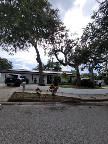 8320 WOODLAKE PLACE, Tampa, FL 33615